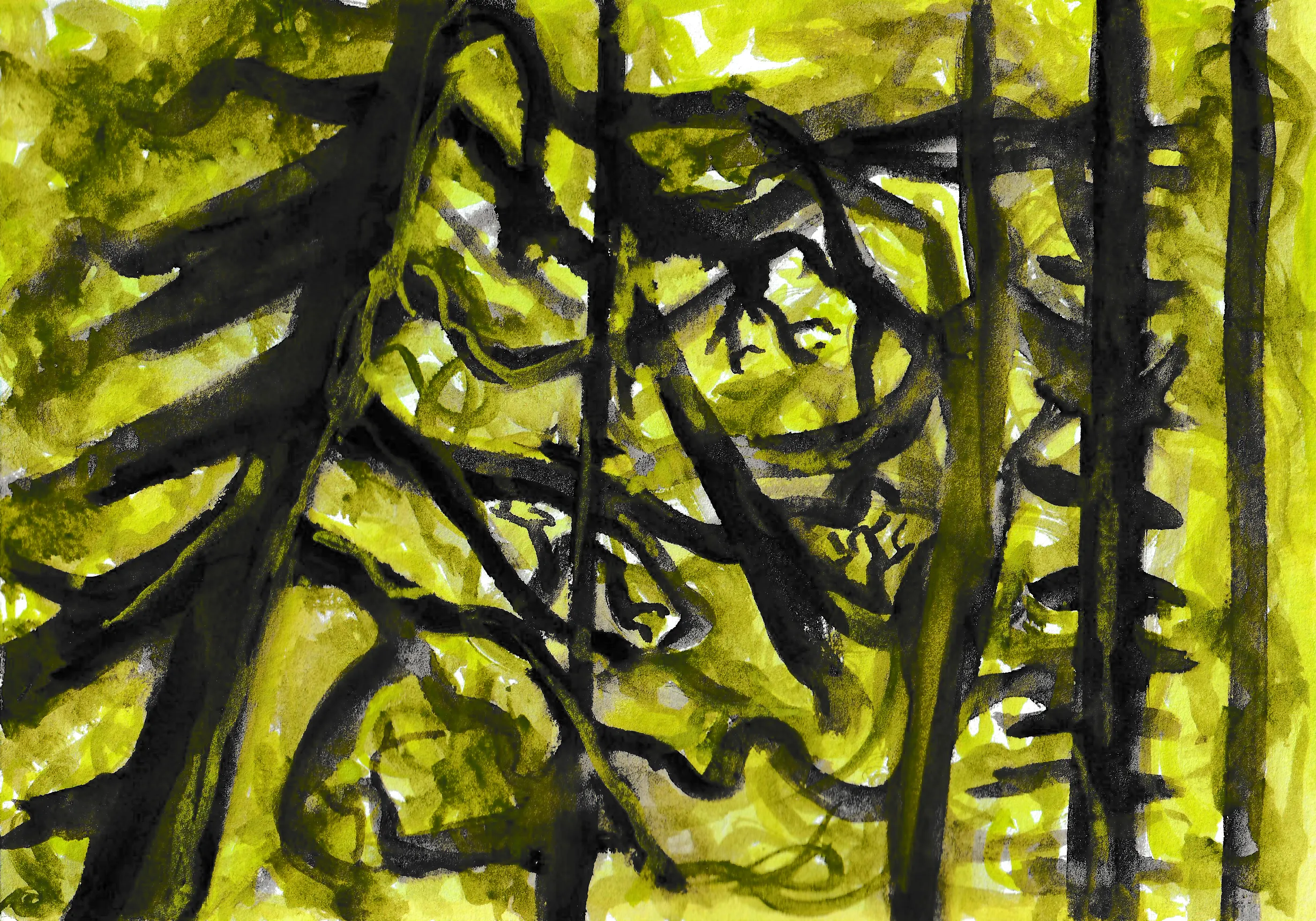 A loose ink-and-watercolor painting of dark, tangled trunks and branches crisscrossing against bright yellow-green foliage.